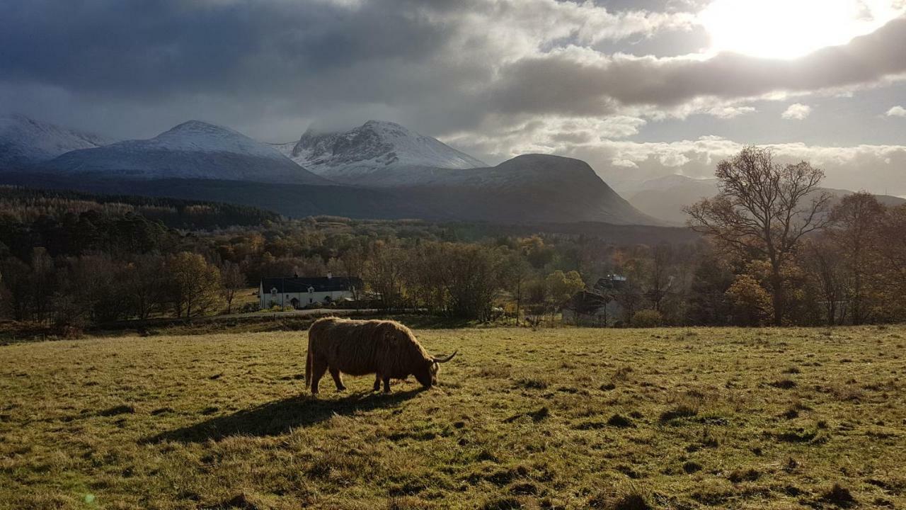 Birch Lodge Fort William Luaran gambar